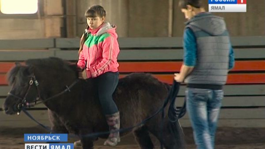 Ноябрьский конный клуб «Тарпан» продолжает работу, несмотря на карантин
