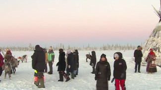 Арктика: русская и зарубежная. Представители коренных народов Северной Европы погрузились в быт ямальских кочевников