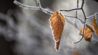 На Ямале резко похолодает: в отдельных районах до −15 °C