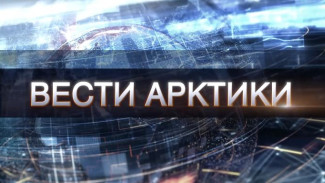 «Вести Арктики» от 22.01.2022: новый выпуск с территории низких температур и северного сияния