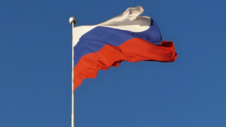 Госдума в первом чтении приняла законопроект о приоритетном вывозе грузов российскими судами