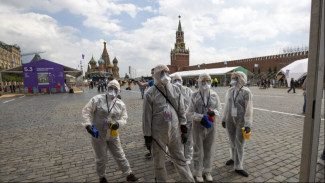 В ВШЭ признали Россию одной из самых успешных стран по борьбе с пандемией 
