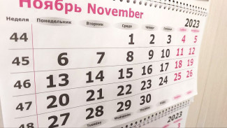 От навязывания услуг до банкротства: как изменится жизнь россиян с 1 ноября