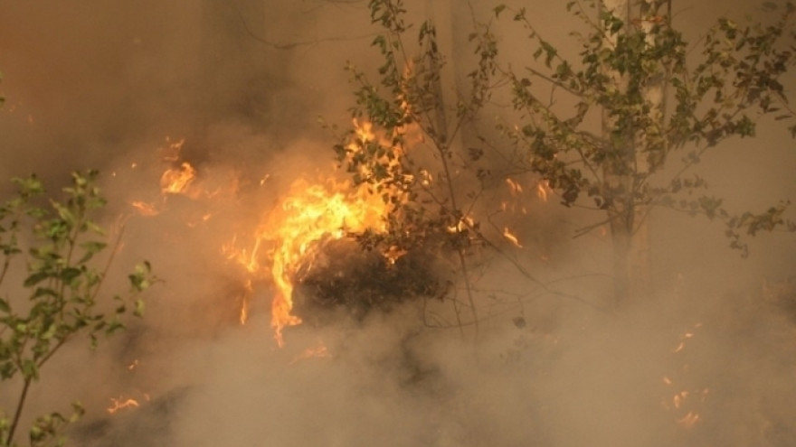 Системы грозопеленгации помогут предотвращать пожары на Ямале