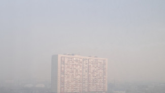 Тюмень окутало едким смогом из-за крупных лесных пожаров