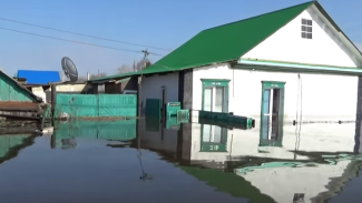 Специалисты продезинфицируют затопленные дома в Ишиме