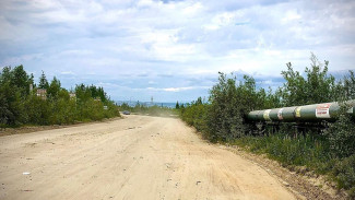 Дорогу до СНТ «Надежда» в Салехарде планируют асфальтировать 