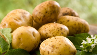Полезные свойства картофеля: как сытно поесть и похудеть