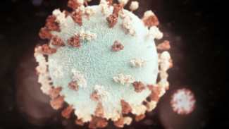 20 мая на Ямале вновь увеличилось число заболевших коронавирусной инфекцией