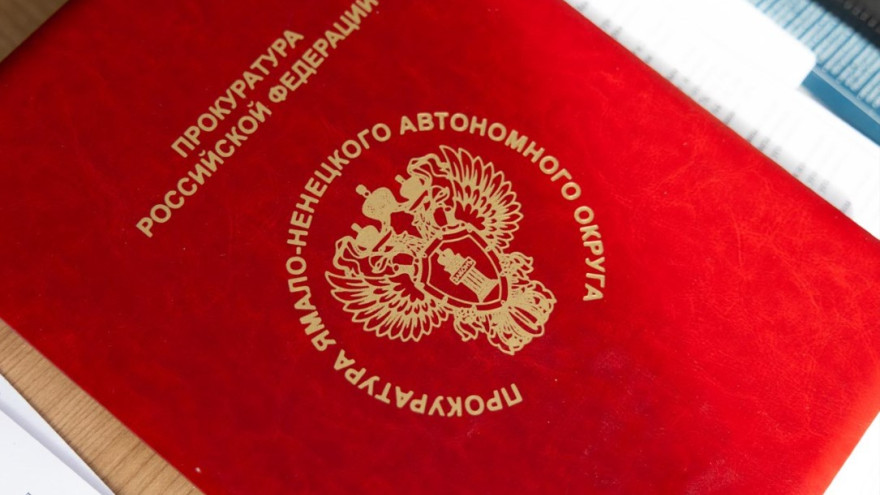 Прокуратура Лабытнанги отреагировала на публикацию о бродячих собаках