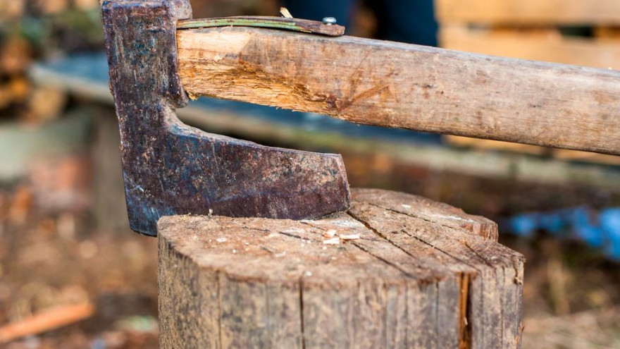Лесоруб вне закона: житель ЯНАО наломал дров на 1,5 миллиона рублей