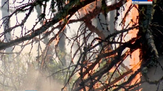 Четыре природных пожара действуют на Ямале