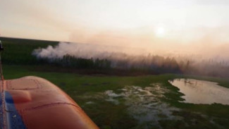 Пожары на Ямале: как регион справляется с ежегодной проблемой