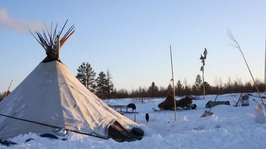 Представителям коренных народов Севера помогут включиться в реестр КМНС