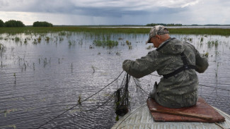 Упорство и мастерство: Шурышкарские рыбаки вывели район в лидеры рыбодобычи