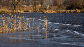 Не выдержал тонкий лёд водоема: в поселке Самбург утонули два подростка 