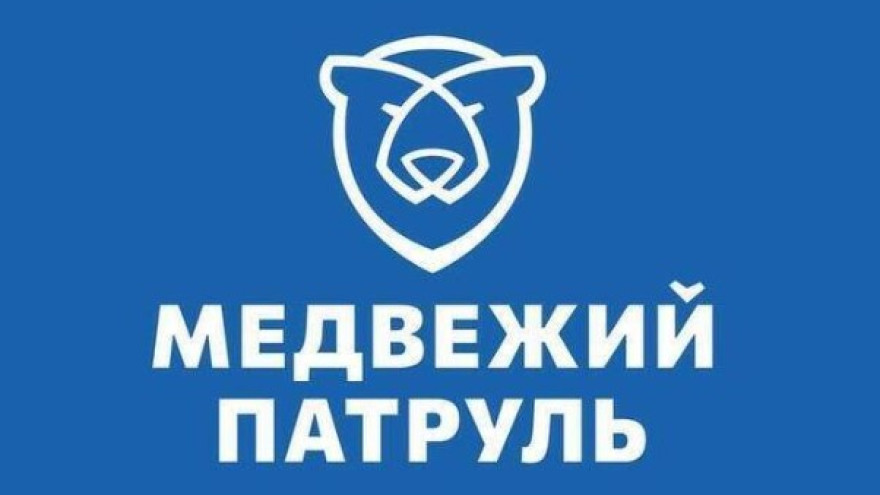 Ямал и соседние регионы готовятся к масштабному внедрению медвежьего патруля