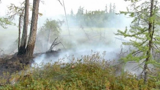 Природный пожар вспыхнул на территории Шурышкарского района