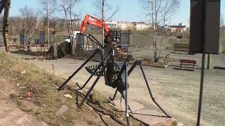 В Петрозаводске установят скульптуру гигантского комара