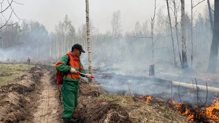 Ямал - в пятерке лучших регионов Арктики по скорости тушения лесных пожаров