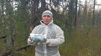 На Ямале проходит второй этап вакцинации диких животных от бешенства