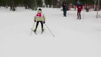 В Надыме 40 спортсменов посостязались в лыжных гонках на кубок района