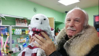 Ямалец спас полярного совенка 