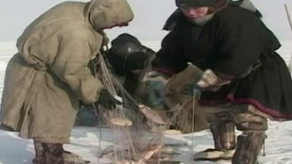 За нарушение грозит серьезный штраф: на Ямале частично запретили рыбалку