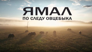 Очарование Ямала: документальный фильм о природном парке «Ингилор» покажут на федеральном канале