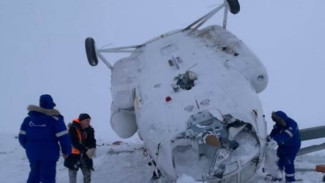 Следствие рассматривает три версии крушения вертолёта на Ямале