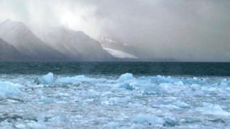 В Архангельске пройдет кинофестиваль стран Арктики «Arctic open»