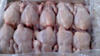 Суд принял решение закрыть склад, с которого поставляли куриное мясо в ноябрьские детсады