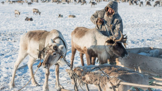 На Ямале стартовал приём документов от коренного населения для включения в федеральный реестр