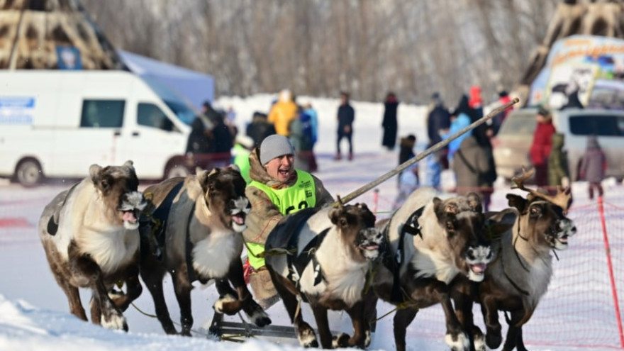 День оленевода в Новом Уренгое перенесли из-за крепких морозов