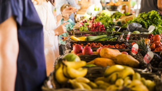 Как избежать вируса Нипах: советы для жителей и туристов Ямала