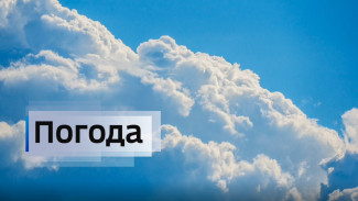 Майское потепление: в Ноябрьске ожидается до +12 градусов