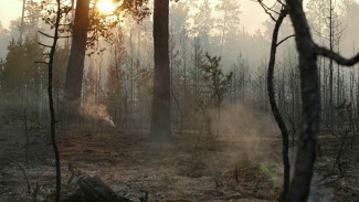 В Якутии горит более 2 тысяч гектаров леса