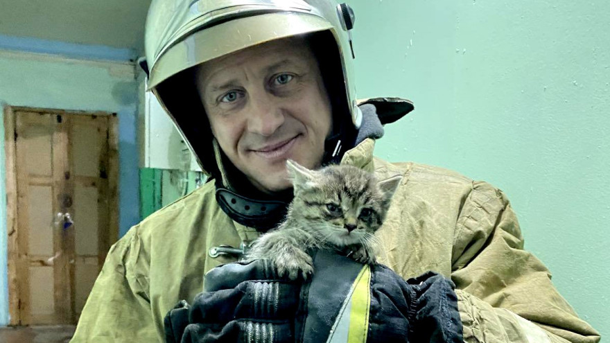 Трогательная история: салехардские пожарные спасли застрявшего котёнка