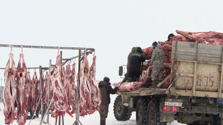 План на год - 900 тонн мяса: производители оленины в Тазовском наращивают производство 