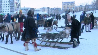 Развитие туризма в Арктике обсудили на международном форуме
