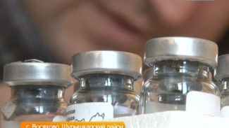 Вакцинация животных в Шурышкарском районе идет полным ходом