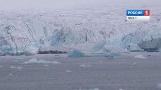 Площадь арктических льдов рекордно сократилась