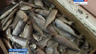 В посёлках Ямала стали на 40% меньше есть местную рыбу