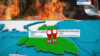 В Тарко-Сале и Красноселькупе введен запрет на посещение лесов
