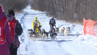 Зимние бега с северным колоритом: в Хабаровском районе прошли гонки на собачьих упряжках