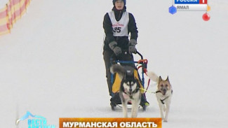 Горы, лыжня и собаки! В Мурманской области прошёл открытый чемпионат по ездовому спорту