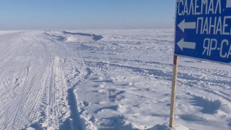 Дорога есть, и жизнь кипит: жители отдалённых посёлков Ямала не нарадуются зимнику в Яр-Сале