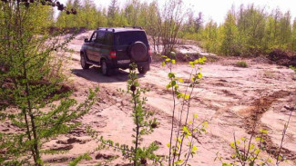 Нарушителей в лесах Ямала будут отслеживать видеокамеры