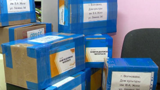 Ноябрьские волонтеры собирают книги для детей из Волновахи