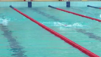 Гонки на воде: в Губкинском прошли масштабные соревнования по плаванию 